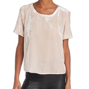 Splendid Velvet T shirt